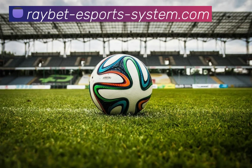 雷竞技APP 封面图